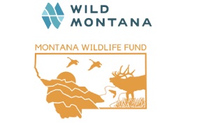 Wild Montana and the Montana Wildlife Federation file suit saying Gov. Greg Gianforte and Montana Secretary of State Christi Jacobsen using “legislative trickery” that doesn’t allow for wildlife funding from cannabis taxes as previously agreed