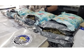 MANILA, Philippines  Customs seizes P2.53-M worth marijuana declared as men’s clothing sent from Kentucky USA