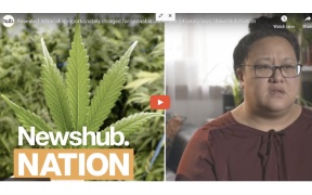 NZ: Revealed: Māori disproportionately charged for cannabis under discretionary laws