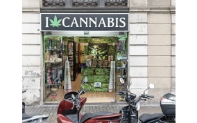 Barcelona traders demand action over rise of CBD shops ‘posing as florists