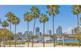 California: Long Beach could cut retail cannabis taxes by as much as 4%