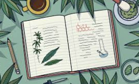 Bloomberg Report On The Growth of the Cannabis Education Sector