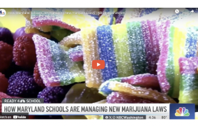 How Maryland schools are managing new marijuana laws | NBC4 Washington