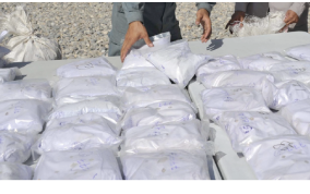Pakistan: 83 drug pushers held with 65kg Hashish in 48 hours