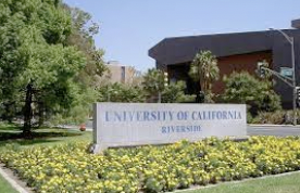 Media Report: Higher Ed: UC Riverside helping students kickstart careers in cannabis
