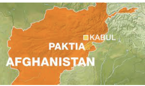 Police destroy hashish farm in east Afghanistan