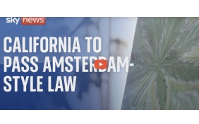US: Cannabis cafes to open in California