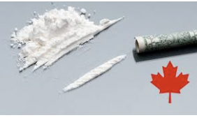 Media report says... Canada To Legalise Cocaine, Decriminalisation-Supporting Startups Across Nation Predict