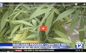 Oregon Medical Marijuana Program rules advisory committee reviews cannabis testing