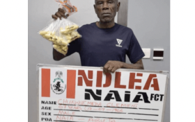 Nigeria: NDLEA arrests 67year-old-man smuggling cocaine to pay for wedding