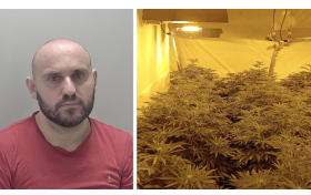 UK: Cannabis farmer who claims to have woken up inside a grow gets 22 months in prison