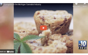 News Report: Corruption in the Michigan Cannabis Industry