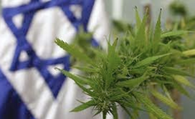 Israel: Health authorities to extend medical cannabis licenses during Gaza conflict