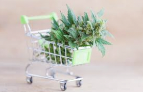 Key Considerations When Buying Cannabis Products  