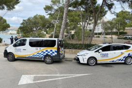 Two arrested after taking a bundle of hash from a Calvia beach