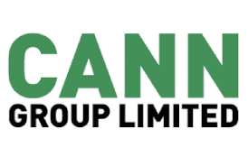 ASX Still Nervous About Cann Group - As Usual It's Somebody Else's Fault According to Cann Group