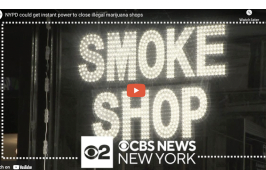 CBS News Report (video):  NYPD could get instant power to close illegal cannabis retail