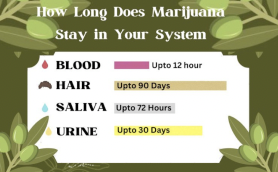 How long does weed (Marijuana) stay in your system?