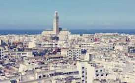 Morocco seizes 4.6 tonnes of cannabis, arrests 2 suspects