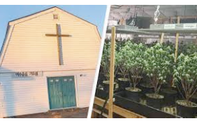 Massive cannabis  grow operation found inside Tennessee church, investigation slowed by possible ‘booby traps’