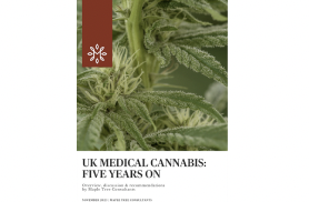 New Report: 2023  UK Medical Cannabis: Five Years On (Maple Tree Consultants)