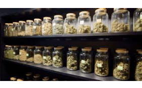 Harmony of Innovation and Tradition: Navigating the World of Weed Dispensaries