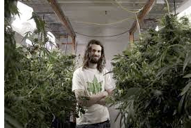 Canada: N.S. marijuana activist accused of not reporting $2.5M in sales, faces huge tax penalties