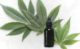 7 Essential Considerations Before Trying CBD Oil