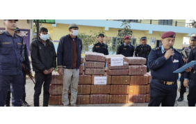 Nepal: Two Indians arrested with 396 kg cannabis
