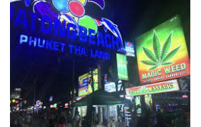Thailand  also seeks public opinion on draft to end recreational cannabis use