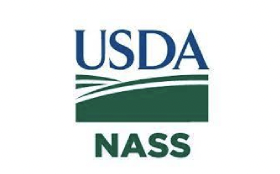 USDA’s National Agricultural Statistics Service to Conduct Hemp Survey