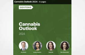 Update: Cannabis Outlook 2024 with partners Eric Berlin, Joanne Caceres, Kelly Fair and Amy Rubenstein