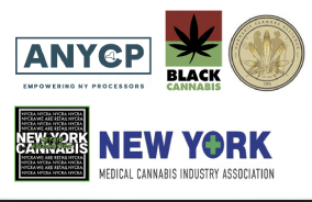 Press Release: Concerned New York Cannabis Leaders Unite to Launch The Cannabis Conference