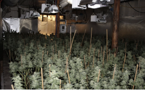Authorities have launched an investigation after the sight of smoke billowing from a Maine home owned by a Massachusetts resident led to the discovery of thousands of marijuana plants.