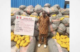 Nigeria: NDLEA intercepts 14.5 tons of cannabis with monkier "Ghanian Loud" in Lagos