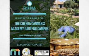 South Africa - Press Release: Cheeba Cannabis Academy launches new scholarship for cannabis industry course
