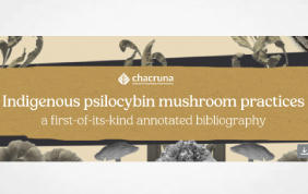 Chacruna publish annotated bibliography of texts exploring Indigenous psilocybin mushroom practices