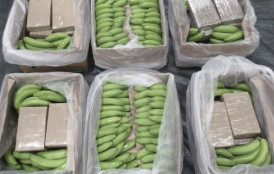 The biggest Seizure in History: Cocaine worth over a 450 Million Pounds found among Bananas in Britain