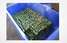 USA: Shipment of limes results in over $3 million worth of cocaine