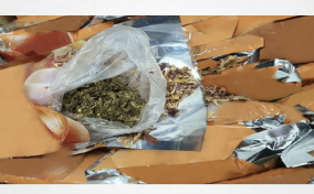 Dubai Customs seizes 26.45 kilos of marijuana disguised in red onion shipments
