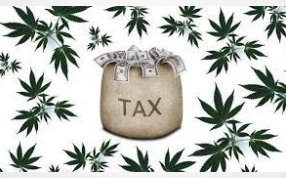 , February 28, 2024  Student presentation exploring how states tax marijuana and allocate the revenues