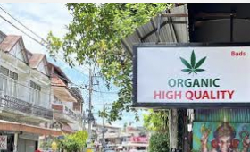 Are marijuana seeds legal in Thailand?