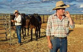 Australia - Article: A fistful of dollars: cowboys put cannabis regime at risk