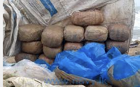 Sri Lanka Navy Seizes Kerala Hashish Value Over Rs. 1 Million; Youth Arrested In Joint Operation