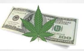 Washington to Temporarily Eliminate Taxes on Medical Cannabis