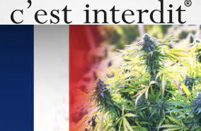 Media Report: Flower Will Not Be Included In France’s Medical Cannabis Program