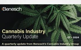 Cannabis Industry Quarterly Update: Q1 2024