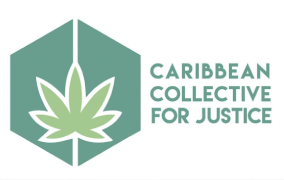Jamaica: Caribbean Collective for Justice (CCJ) calls on government to establish Cannabis Licensing Authority
