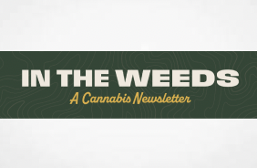 "Into The Weeds" ...The Official Newsletter of America's Cannabis Union, the United Food and Commercial Workers (UFCW) Publishes Inaugural Issue