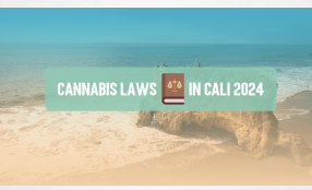 Updated Cannabis Laws in California for 2024